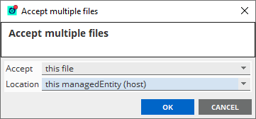 FKM Accept multiple files window