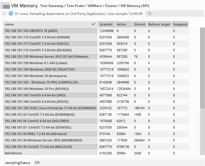 VM Memory dataview