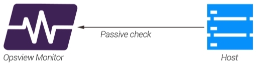 Passive check